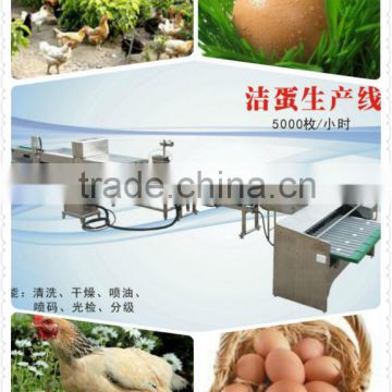 china best stainless cleaning grading machine for egg farmers