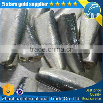 frozen hgt sardine fish for canning price