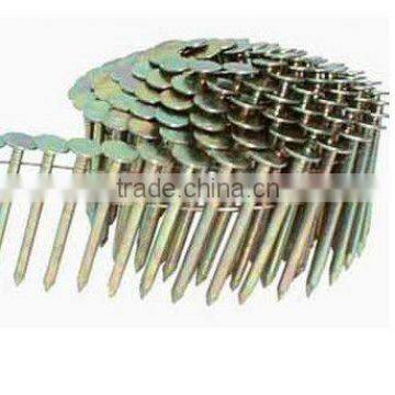 Fourteenth item Roofing coil nails