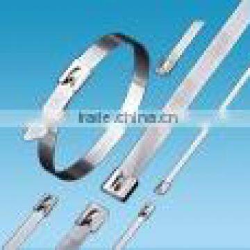 Supply 12*600 Stainless Steel Cable Tie /ladder type stainless steel ties/universal clamping band