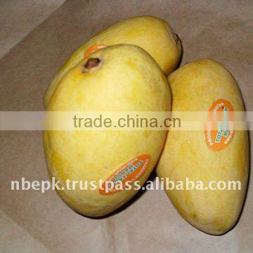 White Chaunsa Honey Mango from Pakistan