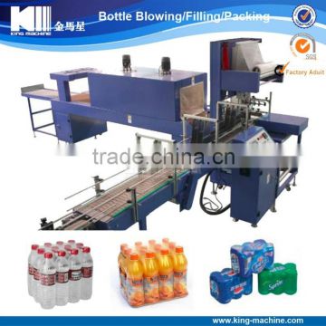 Automatic Beverage Juice Filling Packing Machine