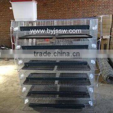 Quail Cages For Laying Hen ( A Type & H Type )