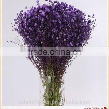 Latest wedding flowers drone with 1kg/bundle from Yunnan, China