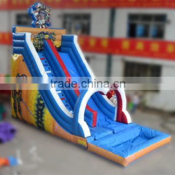 Giant Inflatable Water Slide with Pool