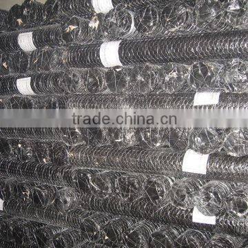 Cheap Price High Quality Chicken Coop Hexagonal Wire Mesh photo-6