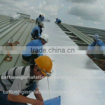 Steel Industrial Building Insulation