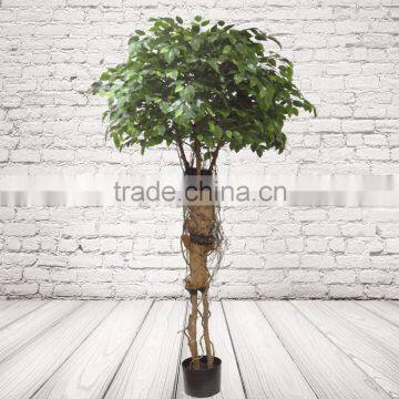 Artificial Indoor Ficus Tree photo-2
