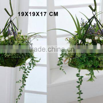 2015 Newest design Good sell atificial succulents plants fake grass for sale