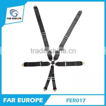 Racing Harness 6 Point