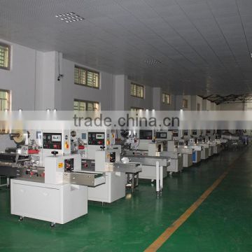 Shanghai Good Quality Cracker Packing Machine