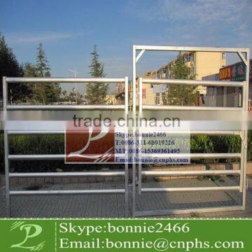 top quality metal tube horse panel( factory & trader)