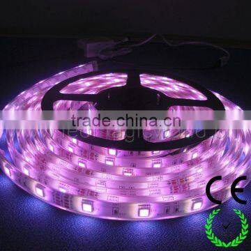 2014 New low voltage Full color SMD5050 LED strip light