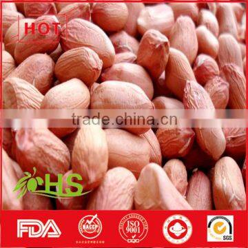 Chinese great quality of peanut kernel for sale
