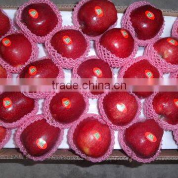 HUANIU APPLE photo-2