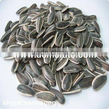 Wholesale Delicious Sunflower Seeds photo-2