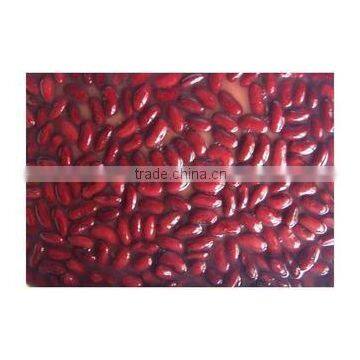 best selling hot sale without any fat canned red kidney beans good for health high nutrition