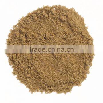 Exporters of Premium Quality Cumin Powder