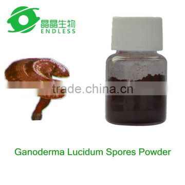 best quality reishi spore powder Ganoderma Lucidum Spores Powder