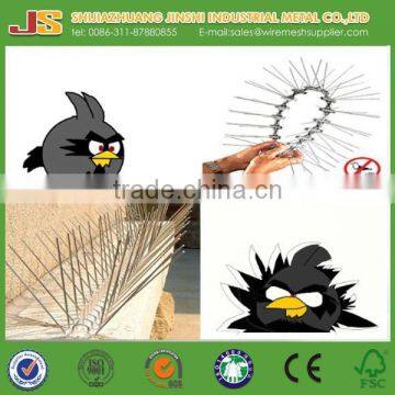 30.5 cm Bird Spikes for Bird Control Direct manufacture for Dubai Market