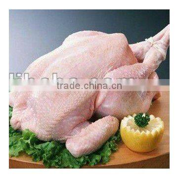 Industrial chicken plucking machine