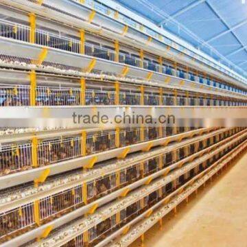 China sell automatic comericial cage for Romania