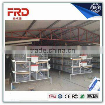 Hot and cold galvanize chicken cage/layer cage/broiler cage poultry equipment for chicken farm/Model Poultry Cage