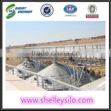 hot sell agriculture chain drag conveyor price