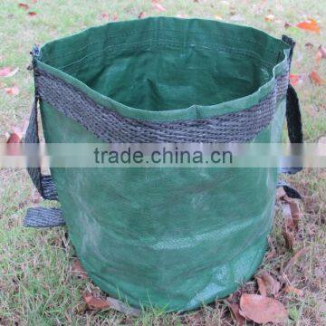 Plant/ Grow Bag photo-2