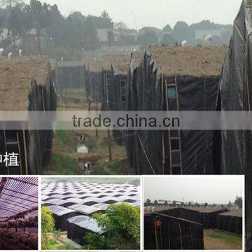 hdpe 100% new material film used greenhouse for mushroom