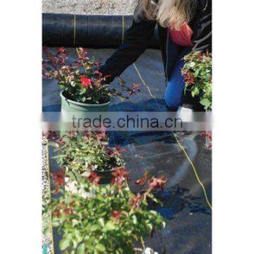 High Quality Used Plastic Mulch Layer Weed Barrier Fabric photo-3