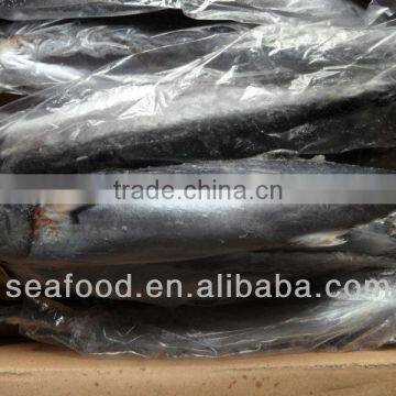 Frozen Spanish mackerel,New Arrivals