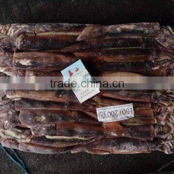 Illex Argentinus Squid Frozen Seafood