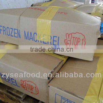 Frozen Pacific Mackerel Fish 200-300G photo-4