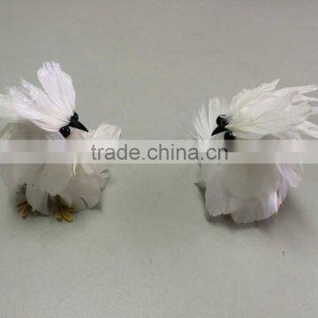 Halloween Animal photo-4