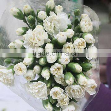 Export Fresh Flower Products Carnation Flower Hotel Lobby Decoration Wholesale from Yunnan,China