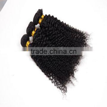 Free Sample Hair Bundles,2016 Hottest Virgin Mongolian Kinky Curly Hair photo-6