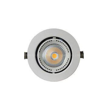 15W LED Gimbal Downlight