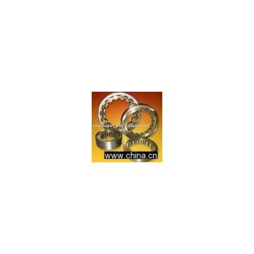Cylindrical Roller Bearing