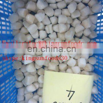 Frozen Scallop For American With Sea Scallop/bay Scallop