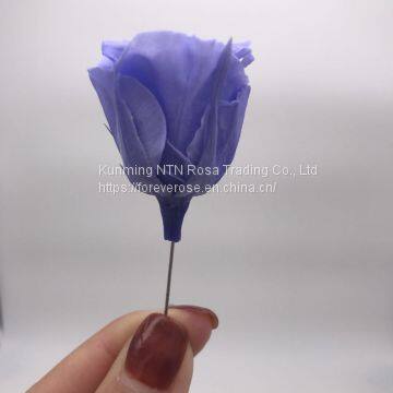 Preserved Flower Rose for Decor Supplies