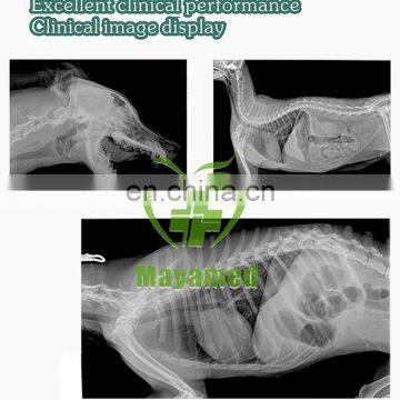 New Arrival Medical Veterinary X-ray Equipment/x-ray Machine,vet Digital x Ray Scanner Price for Sale photo-2