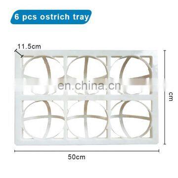 Incubator Egg Trays/poultry Egg Trays/pigeons Egg Tray photo-6