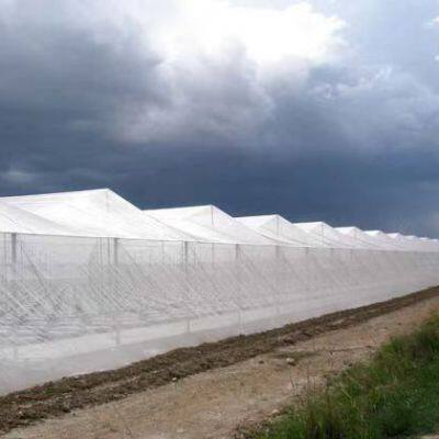 HDPE Anti-Thrip Insect Net Custom Cutting Processing Service photo-5