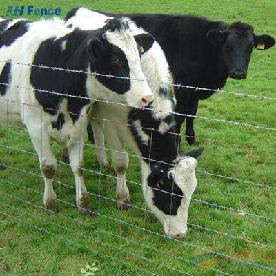 Verzinkter Drahtviehzaun 50m/Rolle Viehschutz Heißtauch-Zaun