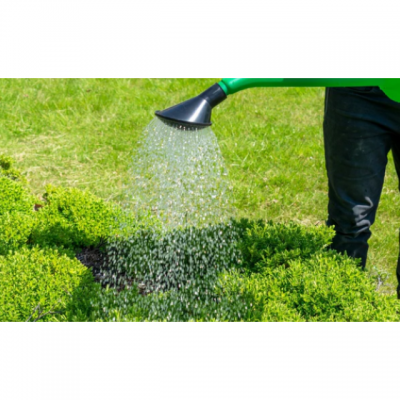 10L Garden Watering Can - Bulk Order Discount photo-5