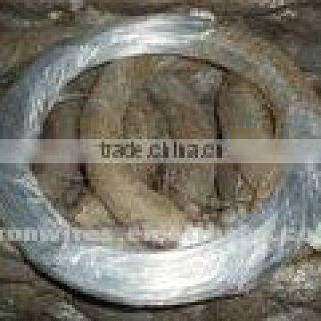 Galvanized Iron Wire(manufactuer)