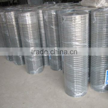 ISO certificated Wholesale cheap Stainless steel welded wire mesh in roll/pannl