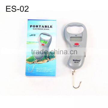 Portable Electronic weighting Fishing scale
