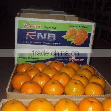 Kinno Mandarin Orange fruit from Pakistan